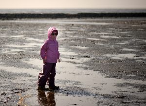 In the Mudflat